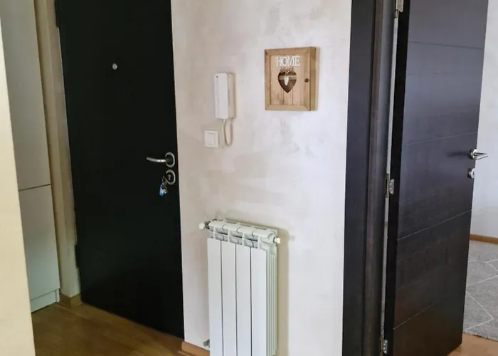 Kolet Zemun 贝尔格莱德